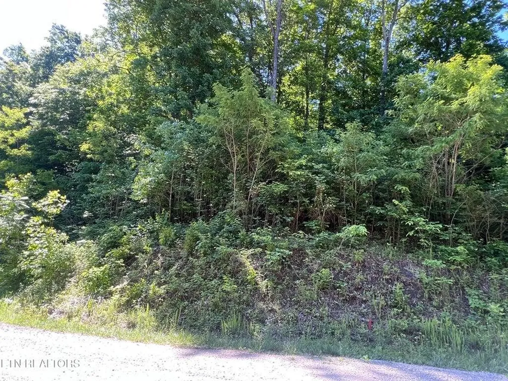 Lot 8 Apache Road Jamestown TN 38556