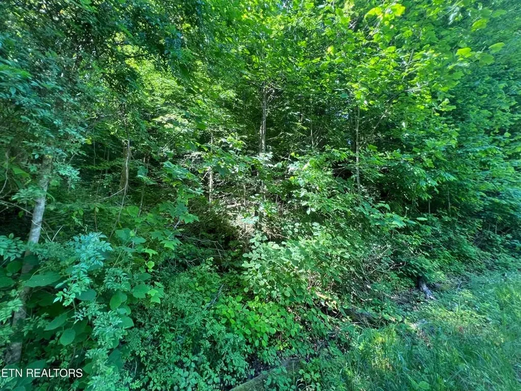 Lot 8 Apache Road Jamestown TN 38556