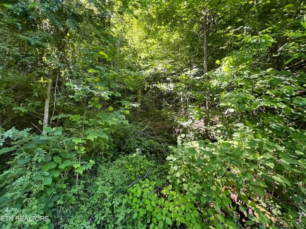 Lot 8 Apache Road Jamestown TN 38556