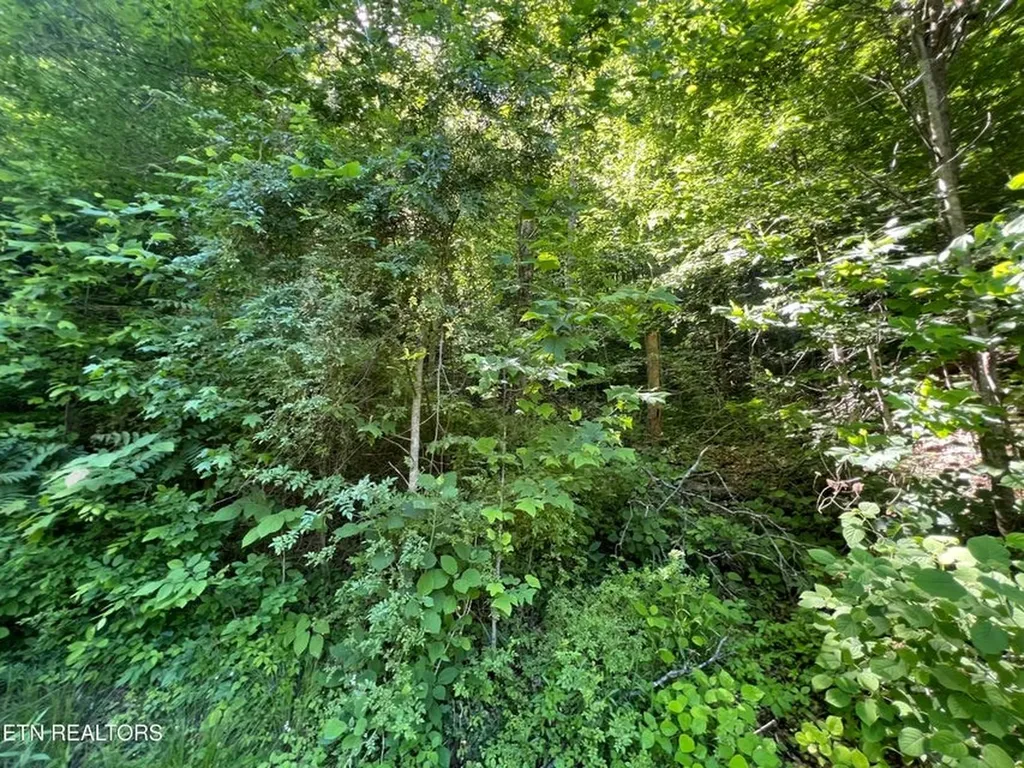 Lot 8 Apache Road Jamestown TN 38556