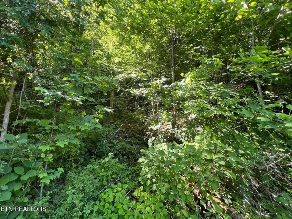 Lot 8 Apache Road Jamestown TN 38556