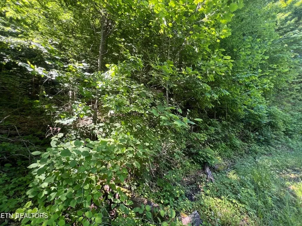 Lot 8 Apache Road Jamestown TN 38556