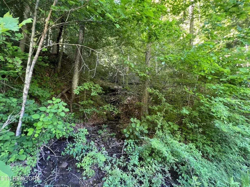 Lot 8 Apache Road Jamestown TN 38556