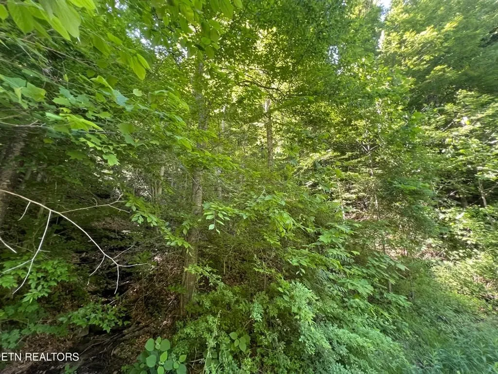 Lot 8 Apache Road Jamestown TN 38556