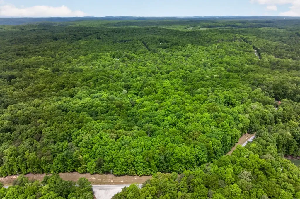 Lot 28 Crest Road Monterey TN 38574