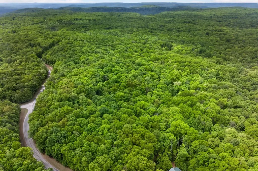 Lot 28 Crest Road Monterey TN 38574