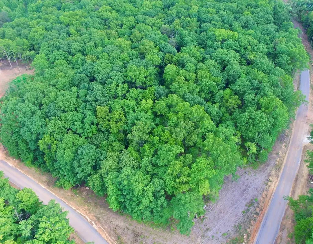 Lot 109 Bakers Terrace Spencer TN 38585