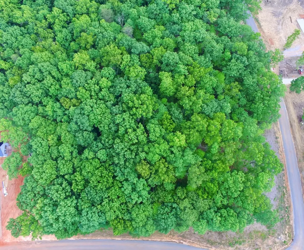 Lot 109 Bakers Terrace Spencer TN 38585