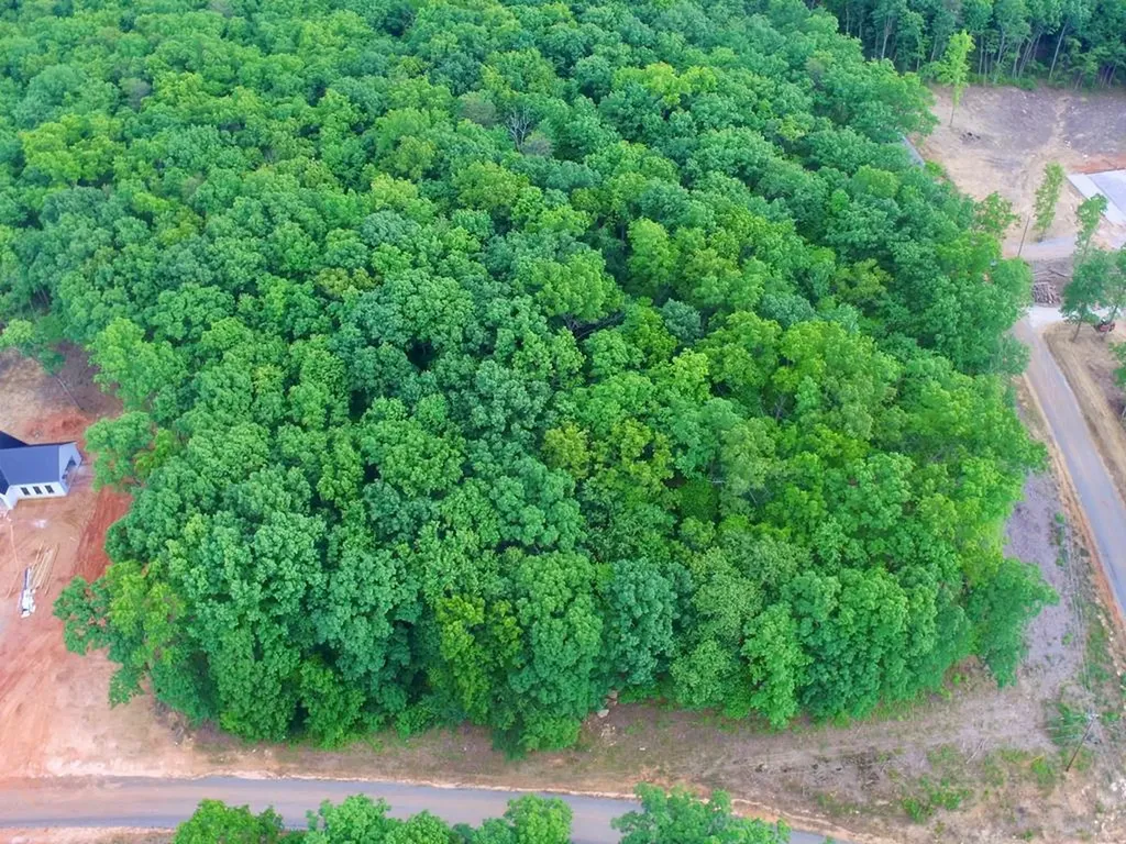 Lot 109 Bakers Terrace Spencer TN 38585