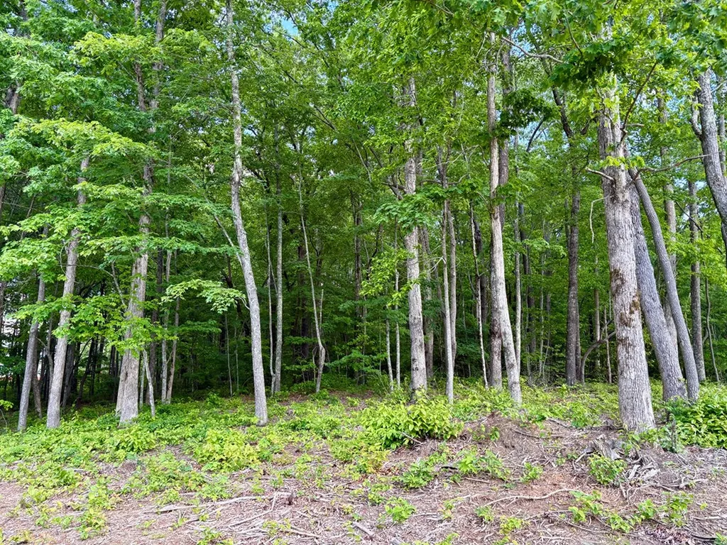 Lot 109 Bakers Terrace Spencer TN 38585