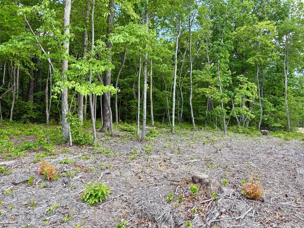 Lot 109 Bakers Terrace Spencer TN 38585