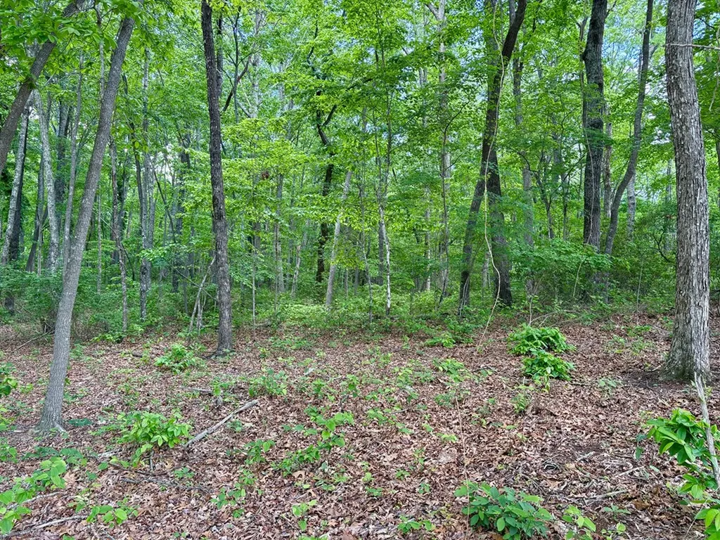 Lot 109 Bakers Terrace Spencer TN 38585