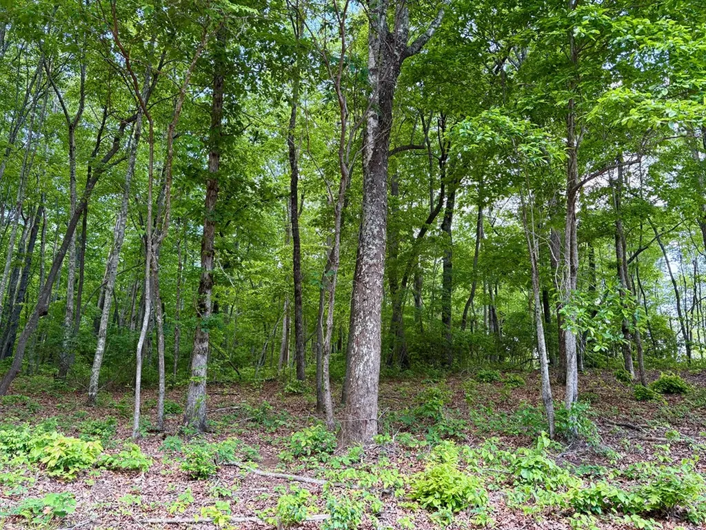 Lot 109 Bakers Terrace Spencer TN 38585