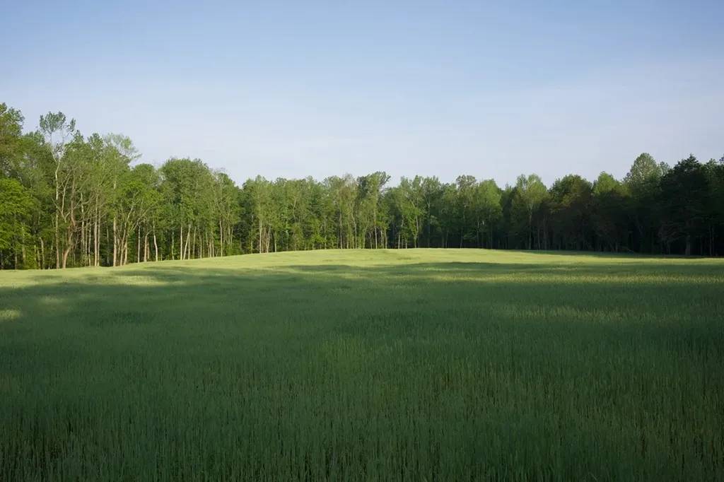 53AC Hankins Road Rock Island TN 38581