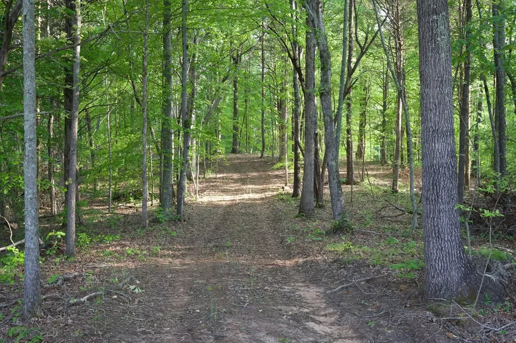 53AC Hankins Road Rock Island TN 38581