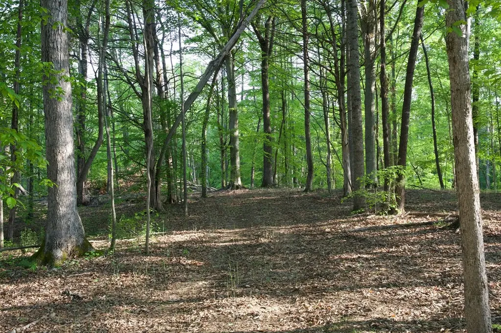 53AC Hankins Road Rock Island TN 38581