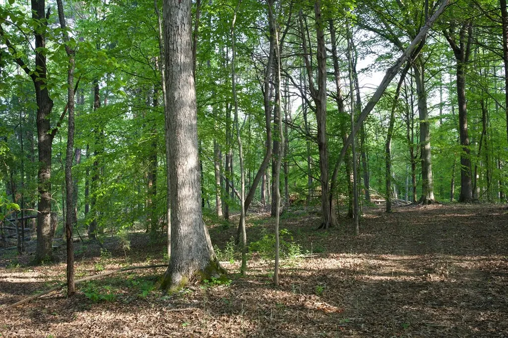53AC Hankins Road Rock Island TN 38581