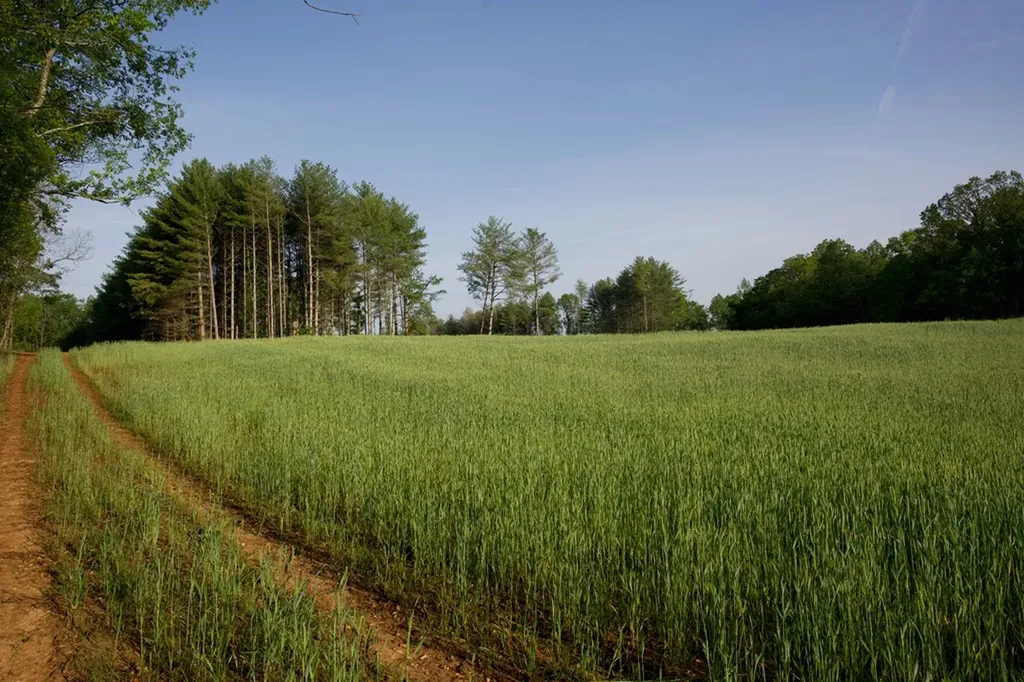 53AC Hankins Road Rock Island TN 38581