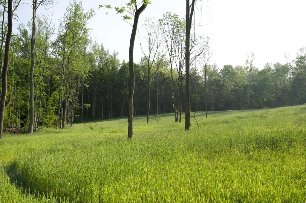 53AC Hankins Road Rock Island TN 38581