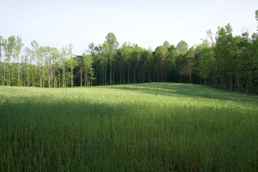 53AC Hankins Road Rock Island TN 38581
