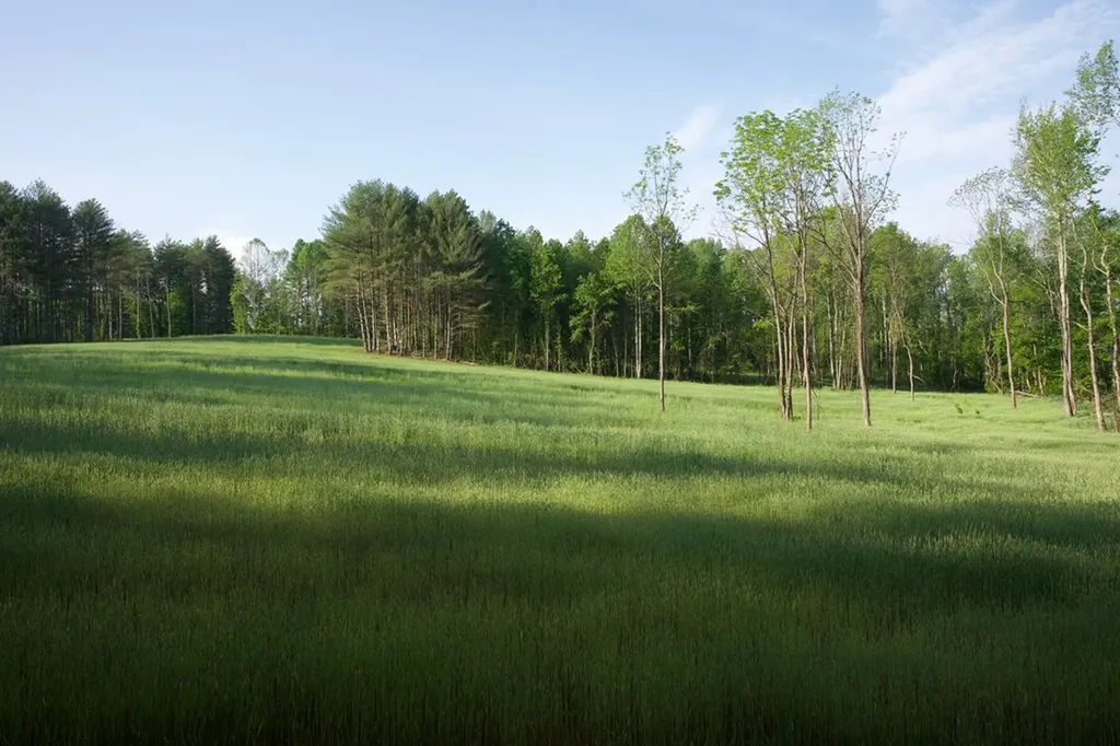 53AC Hankins Road Rock Island TN 38581