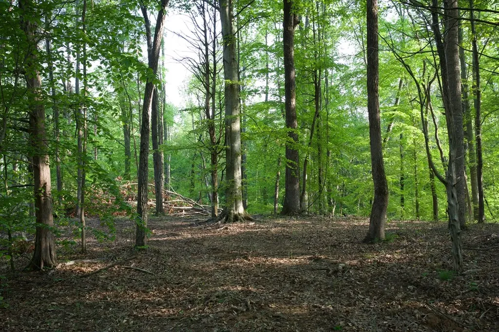 53AC Hankins Road Rock Island TN 38581