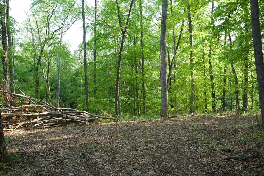 53AC Hankins Road Rock Island TN 38581