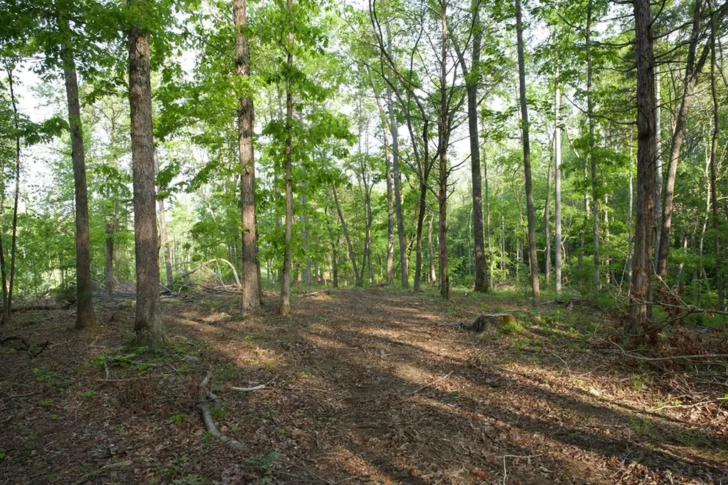53AC Hankins Road Rock Island TN 38581