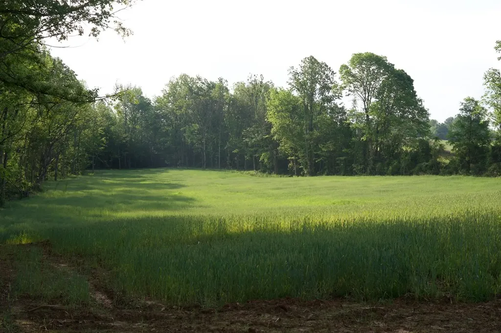 53AC Hankins Road Rock Island TN 38581