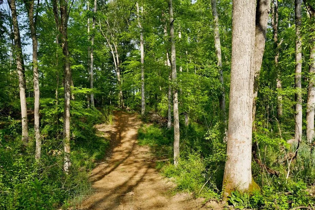 53AC Hankins Road Rock Island TN 38581