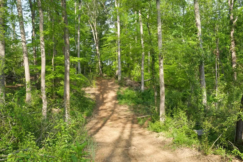53AC Hankins Road Rock Island TN 38581