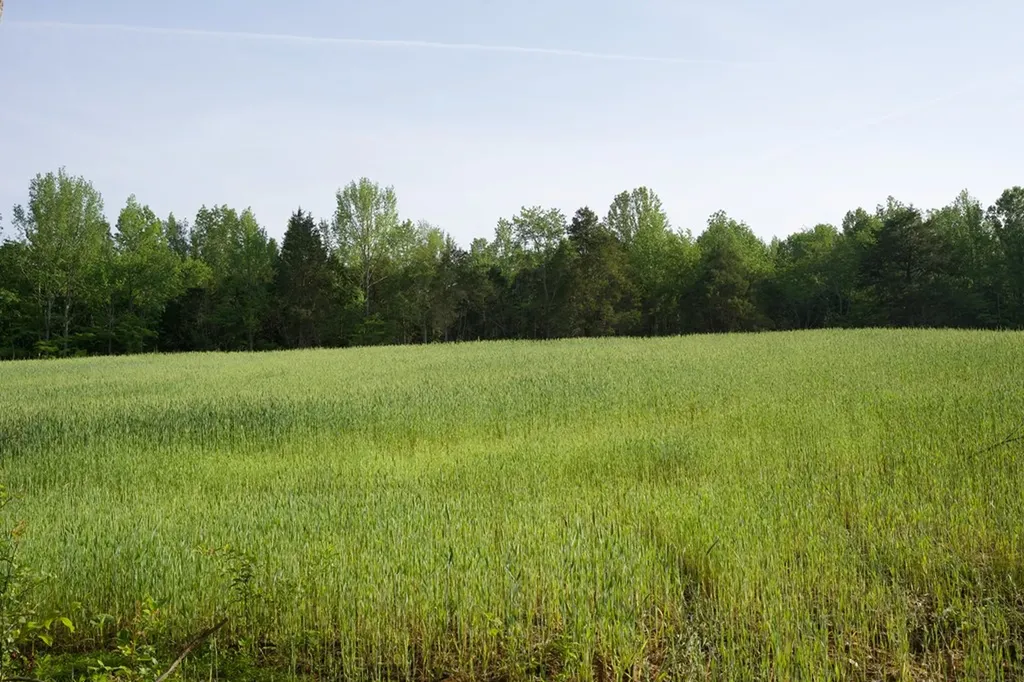 53AC Hankins Road Rock Island TN 38581