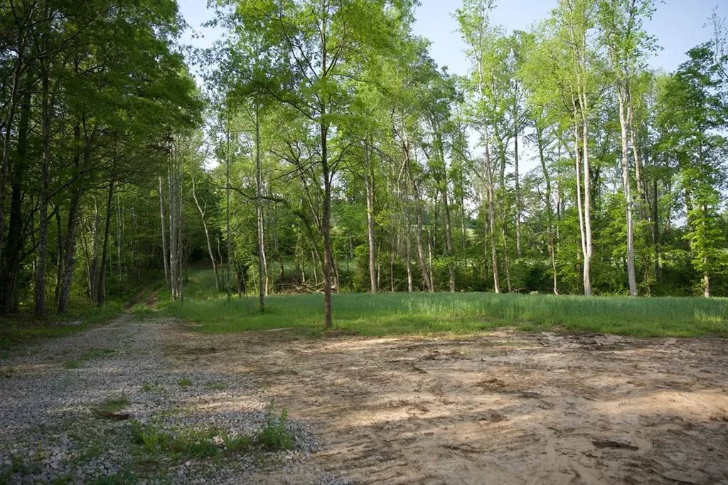 53AC Hankins Road Rock Island TN 38581