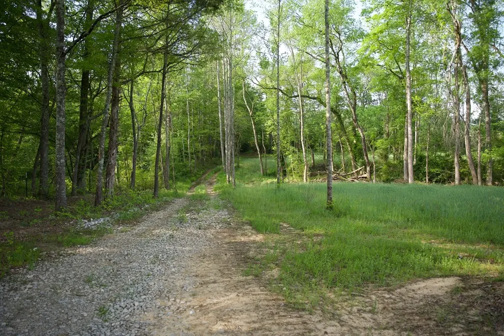 53AC Hankins Road Rock Island TN 38581