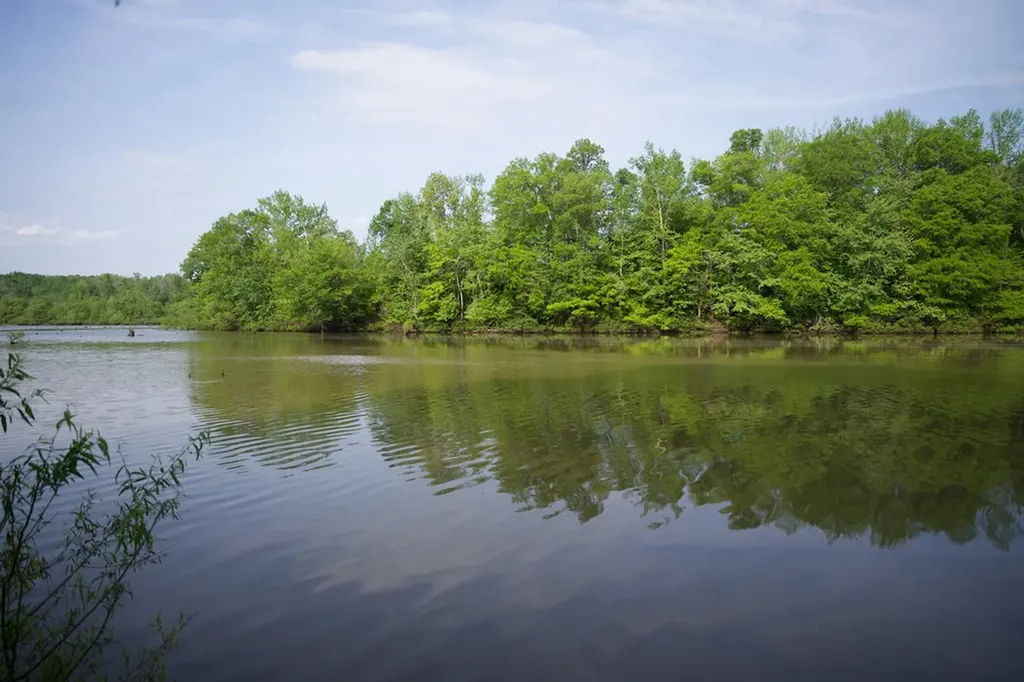 53AC Hankins Road Rock Island TN 38581