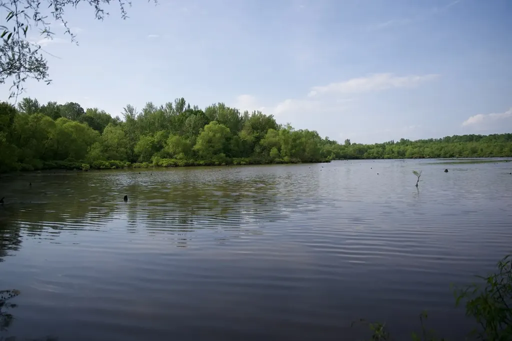 53AC Hankins Road Rock Island TN 38581