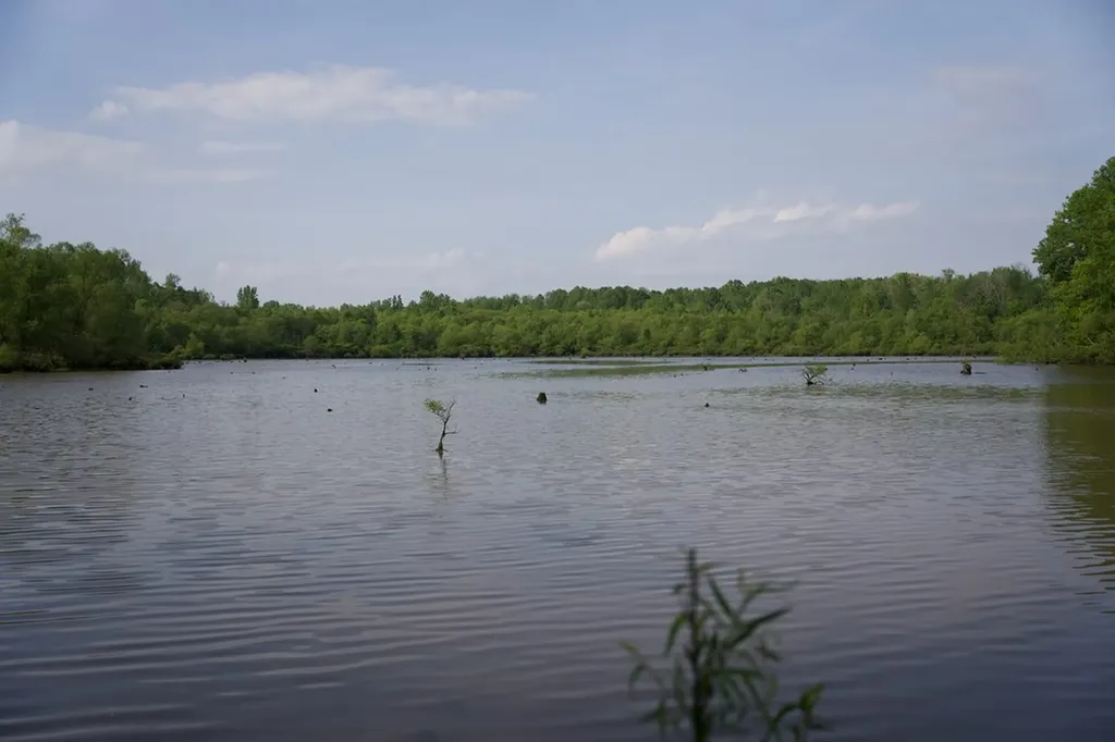 53AC Hankins Road Rock Island TN 38581