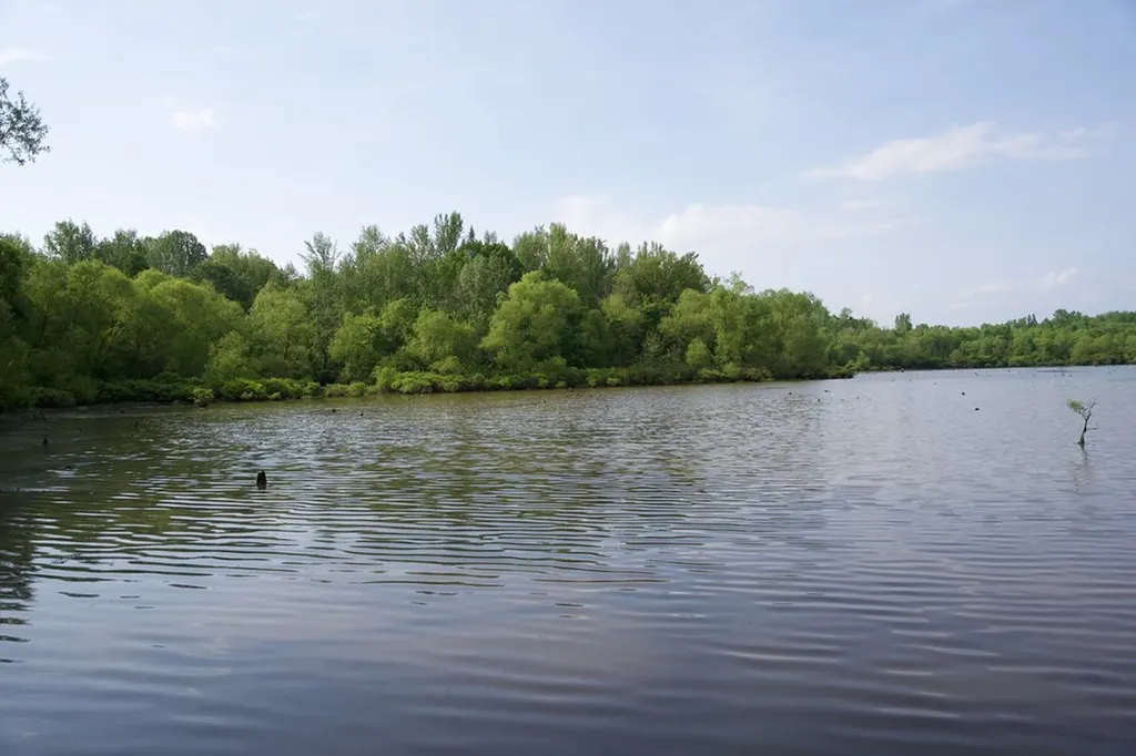 53AC Hankins Road Rock Island TN 38581