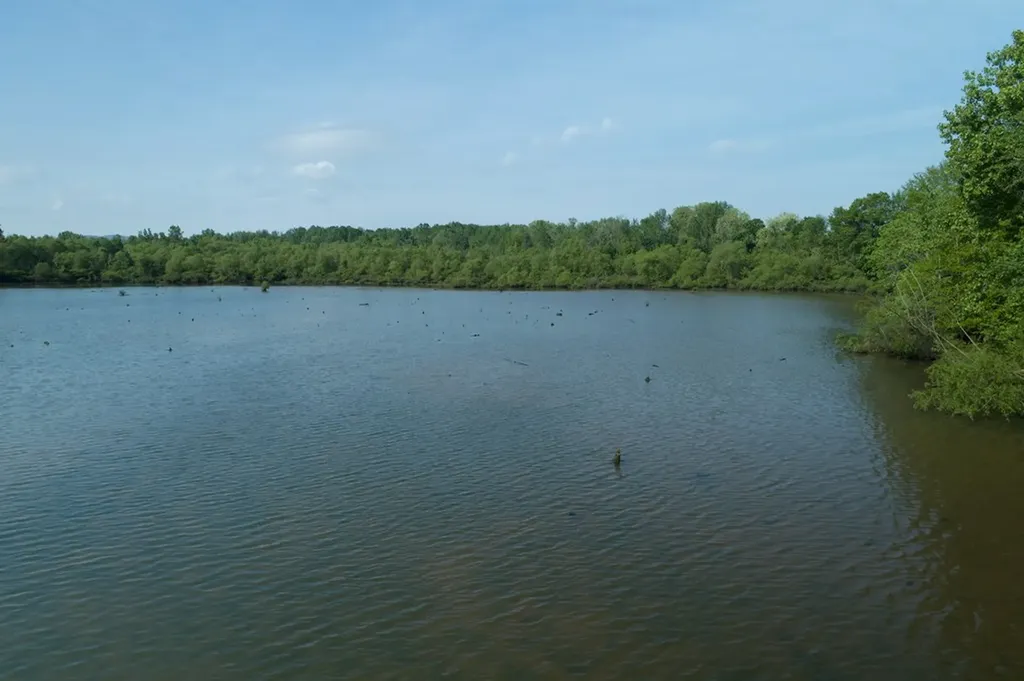 53AC Hankins Road Rock Island TN 38581