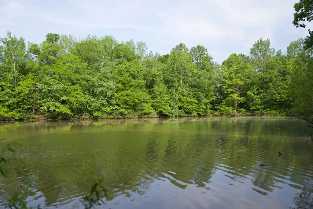 53AC Hankins Road Rock Island TN 38581