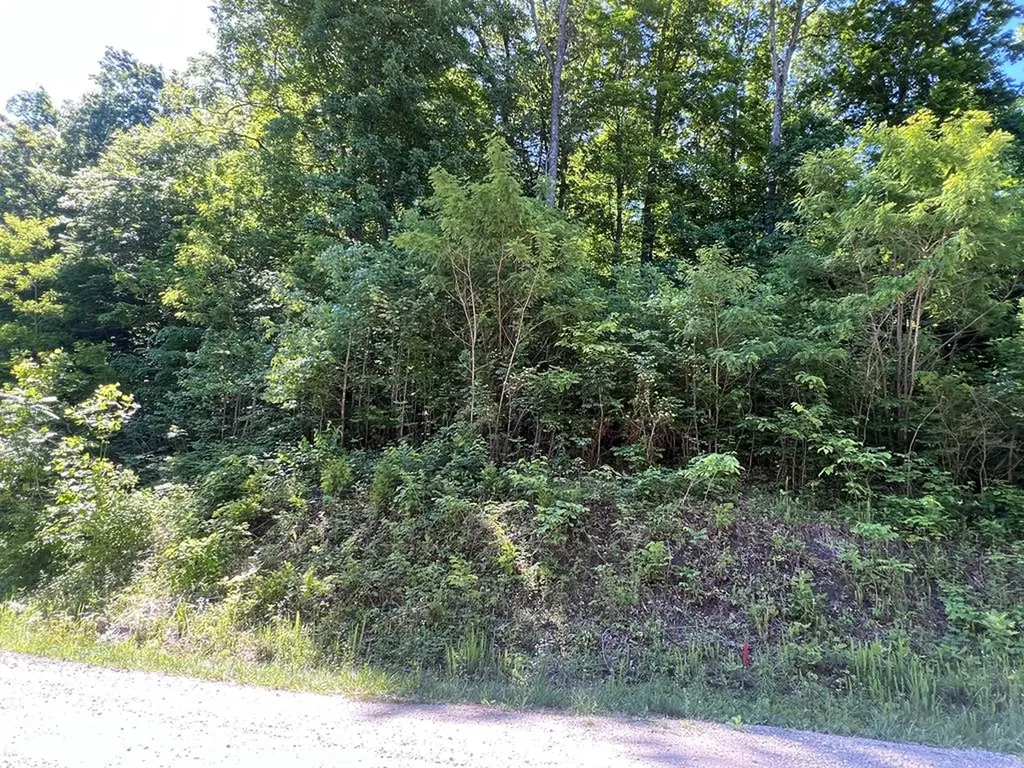 Lot 8 Apache Road Jamestown TN 38556