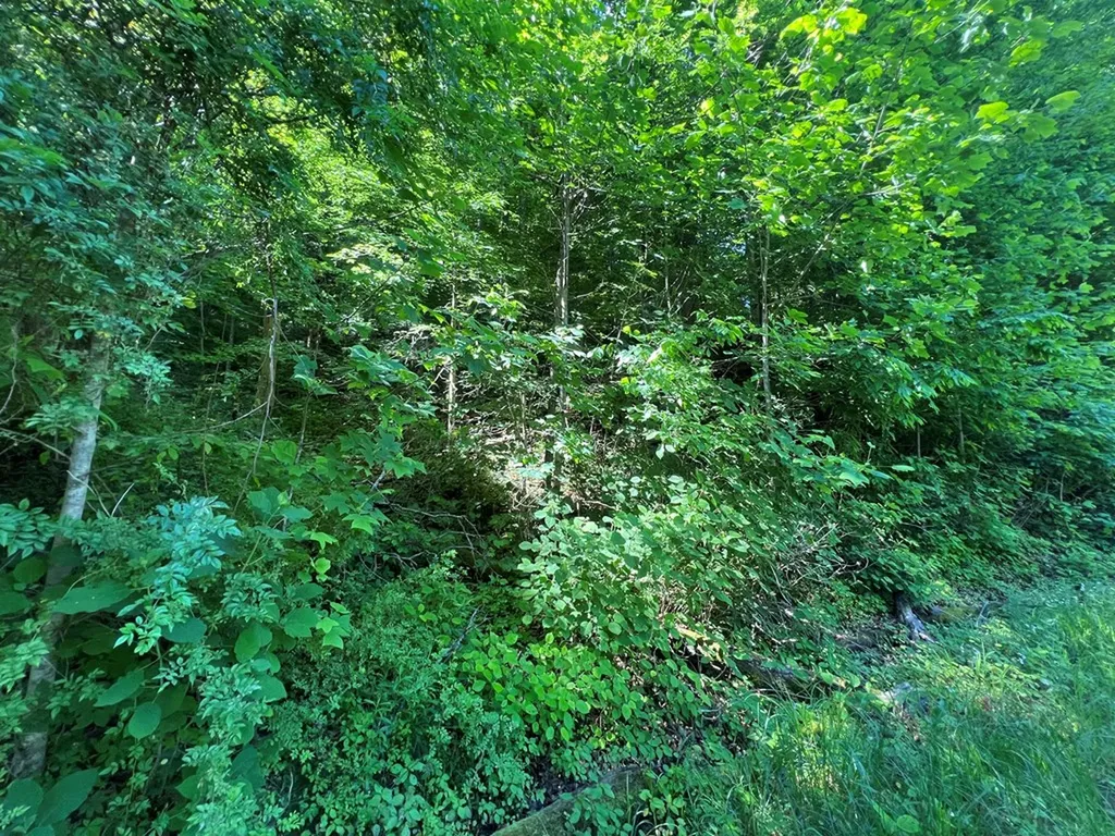 Lot 8 Apache Road Jamestown TN 38556