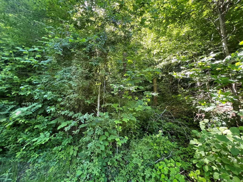 Lot 8 Apache Road Jamestown TN 38556