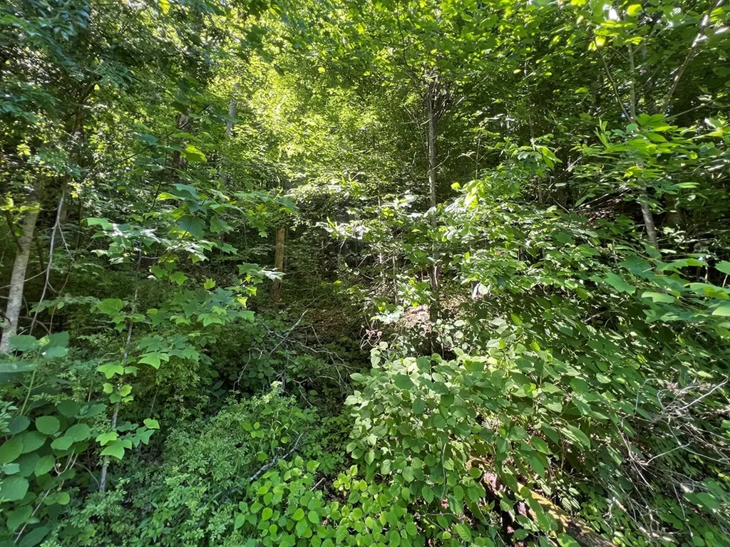 Lot 8 Apache Road Jamestown TN 38556