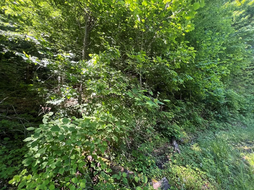 Lot 8 Apache Road Jamestown TN 38556