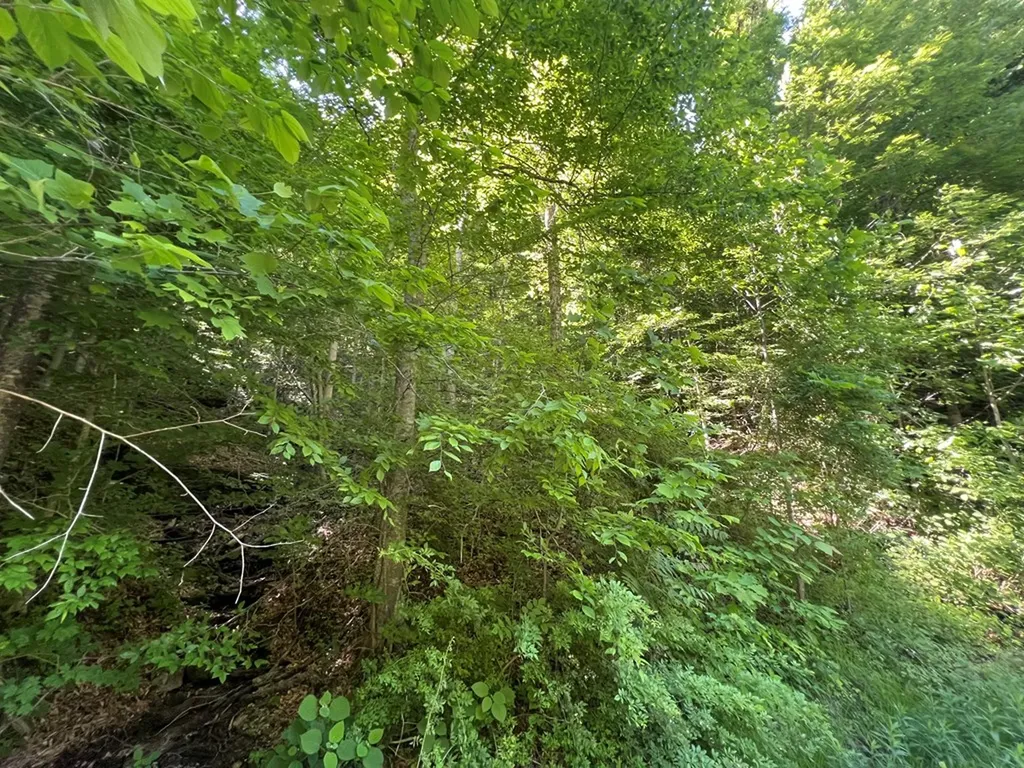 Lot 8 Apache Road Jamestown TN 38556