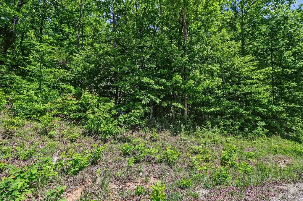 N/a Junaluska Drive Jamestown TN 38556