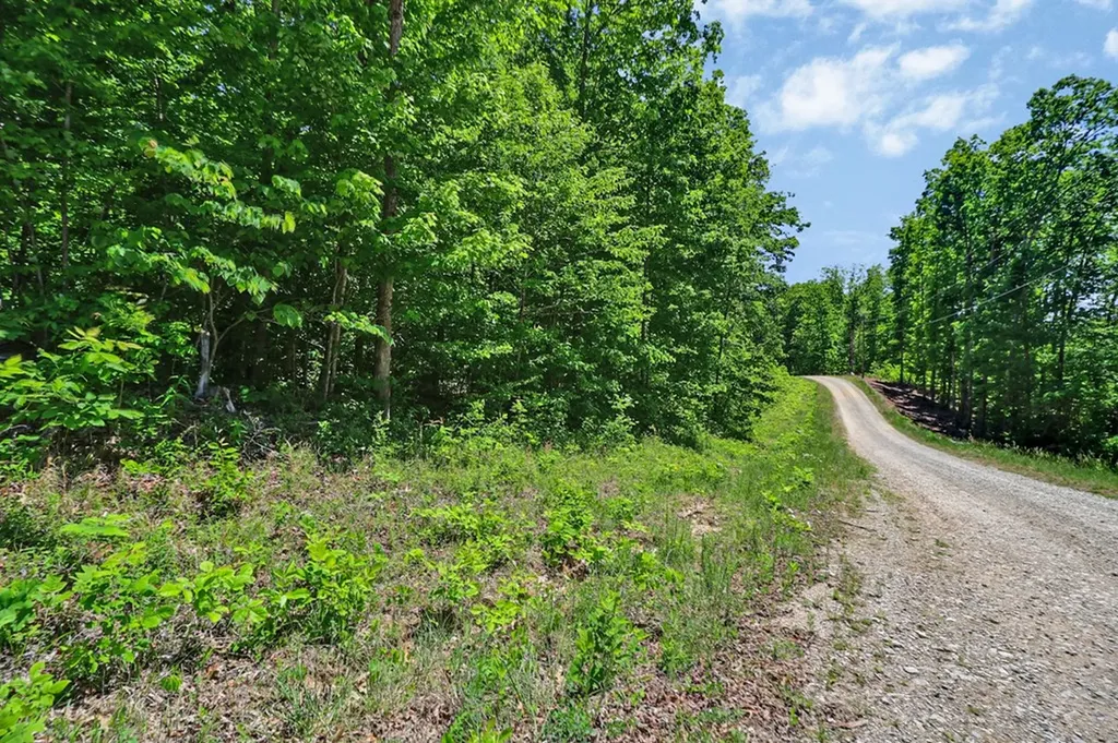 N/a Junaluska Drive Jamestown TN 38556