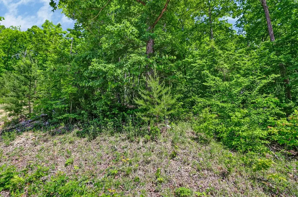 N/a Junaluska Drive Jamestown TN 38556