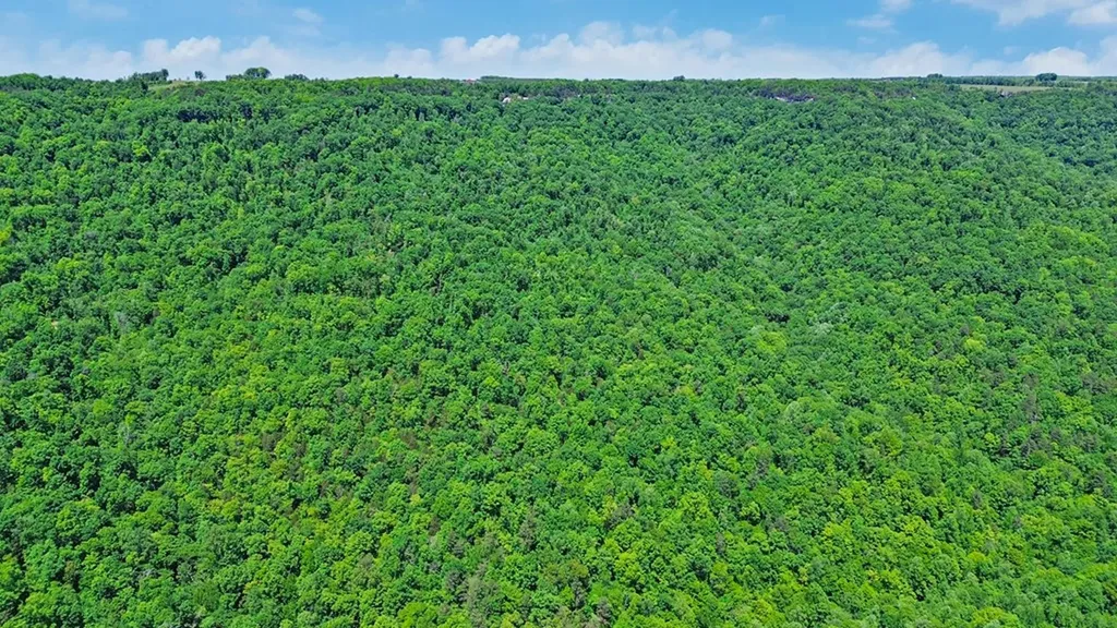N/a Junaluska Drive Jamestown TN 38556